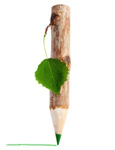 Travel-With-Awareness