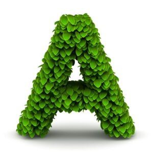 Travel-With-Awareness Sustainable travel tourism, awareness