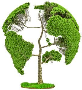 Travel-With-Awareness-Tree-Environment Sustainable travel tourism, awareness, tree, conserve nature, environment